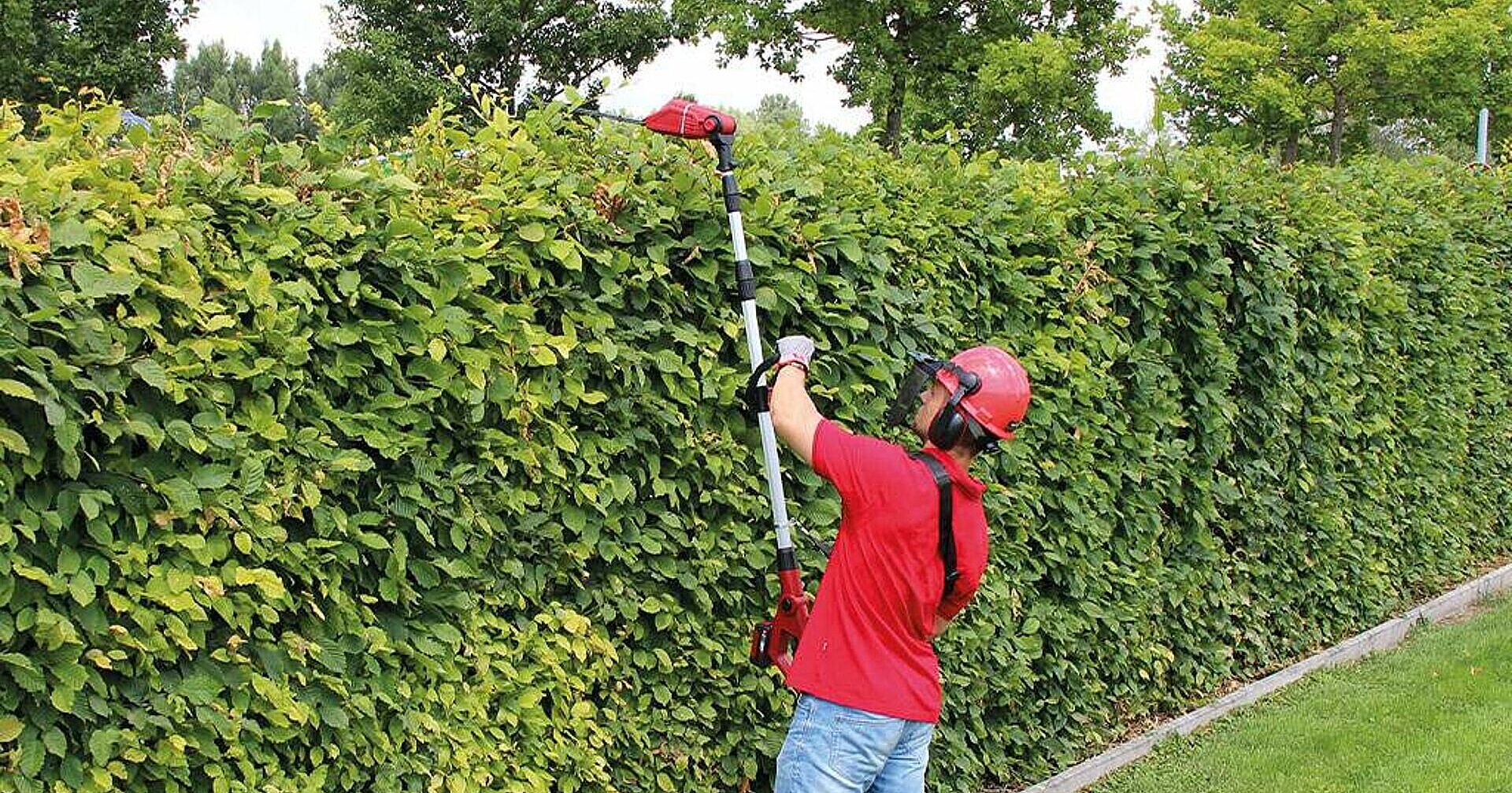 Tips for Pruning Hedges for Privacy: Expert Tricks for Perfect Growth