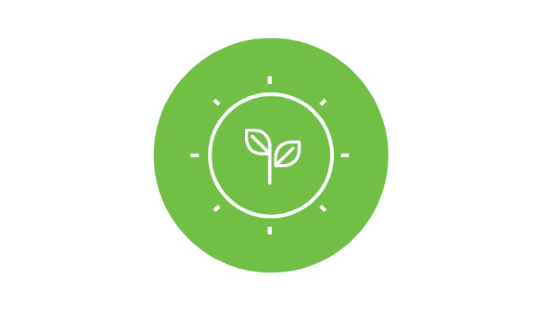 Icon lawn growing