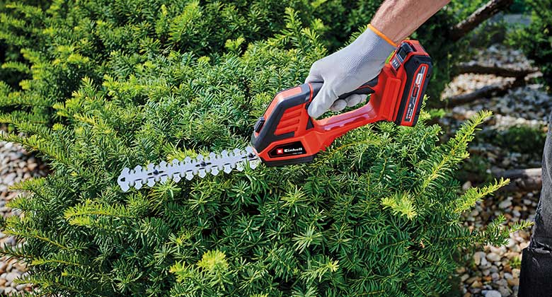 cutting bush with cordless grass and bush shear